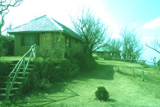 OYO 43476 Vatika Resort Shimla Exteriör bild