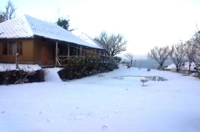 OYO 43476 Vatika Resort Shimla Exteriör bild